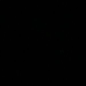 Meet your Posher, Tash